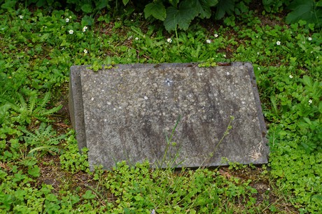 Bad Godesberg
